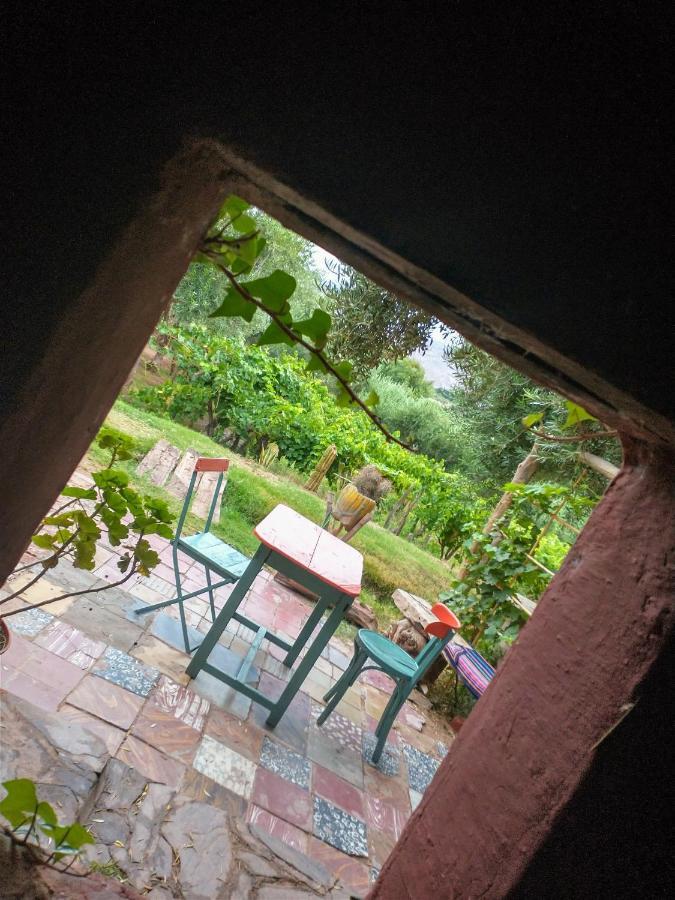 Munay Ecohostal - De Adobe Farm stay Tinogasta