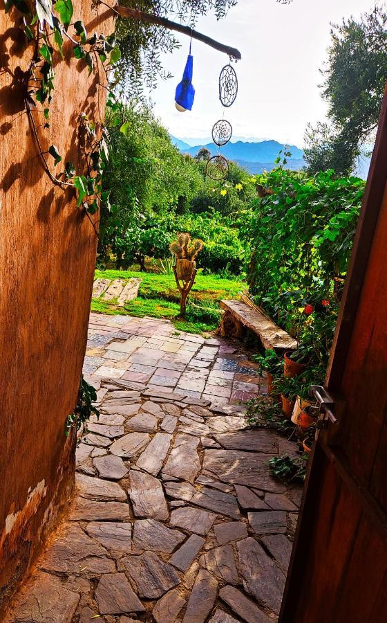 Munay Ecohostal - De Adobe Tinogasta